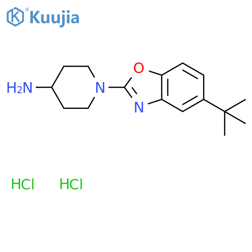 1-(5-Tert-butyl-1,3-benzoxazol-2-yl)-4-piperidinamine dihydrochloride structure