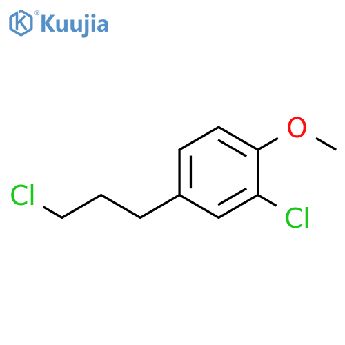 2-chloro-4-(3-chloropropyl)-1-methoxybenzene structure