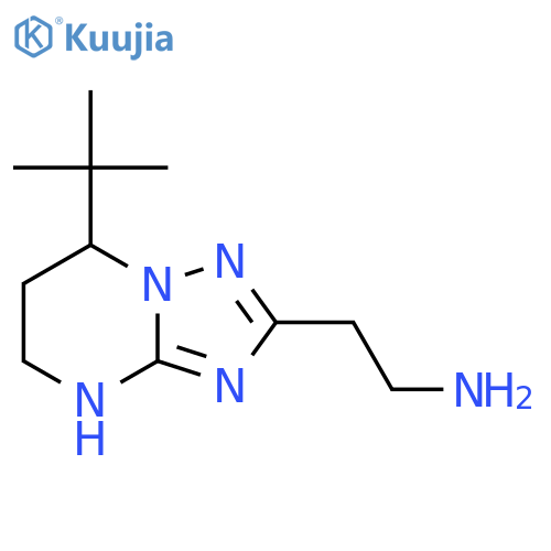 2-{7-tert-butyl-4H,5H,6H,7H-1,2,4triazolo1,5-apyrimidin-2-yl}ethan-1-amine structure