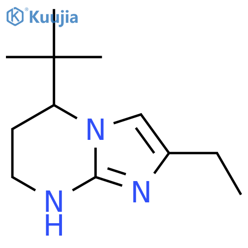 5-tert-butyl-2-ethyl-5H,6H,7H,8H-imidazo1,2-apyrimidine structure