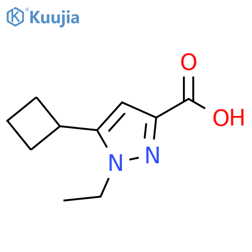 1H-Pyrazole-3-carboxylic acid, 5-cyclobutyl-1-ethyl- structure