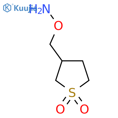 3-(aminooxy)methyl-1lambda6-thiolane-1,1-dione structure