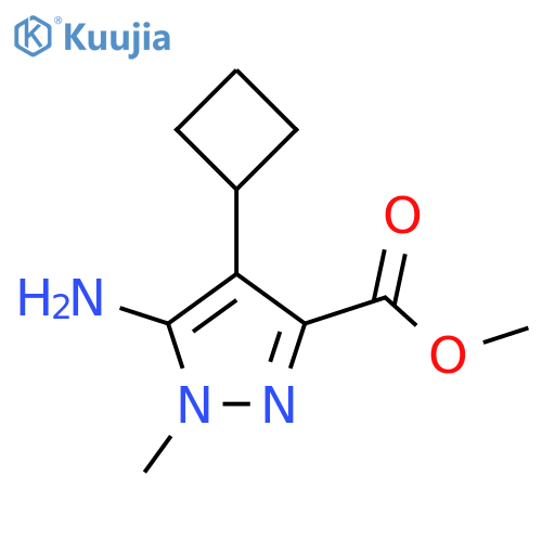 Methyl 5-amino-4-cyclobutyl-1-methyl-1H-pyrazole-3-carboxylate structure