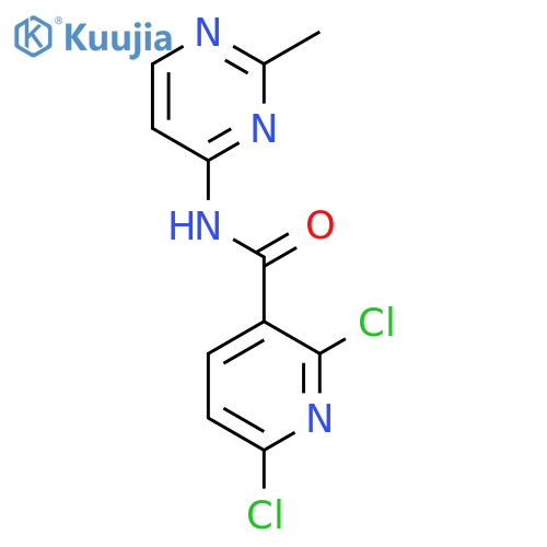 2,6-Dichloro-n-(2-methyl-1,4-dihydropyrimidin-4-ylidene)pyridine-3-carboxamide structure