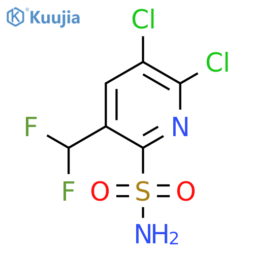 2,3-Dichloro-5-(difluoromethyl)pyridine-6-sulfonamide structure