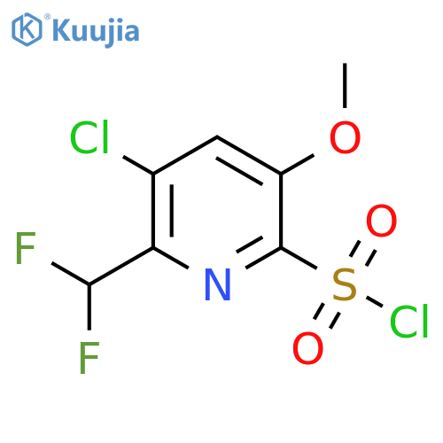 3-Chloro-2-(difluoromethyl)-5-methoxypyridine-6-sulfonyl chloride structure