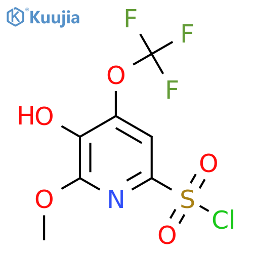 3-Hydroxy-2-methoxy-4-(trifluoromethoxy)pyridine-6-sulfonyl chloride structure