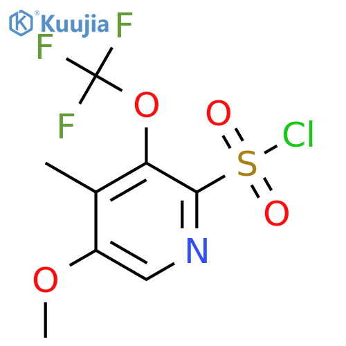 5-Methoxy-4-methyl-3-(trifluoromethoxy)pyridine-2-sulfonyl chloride structure