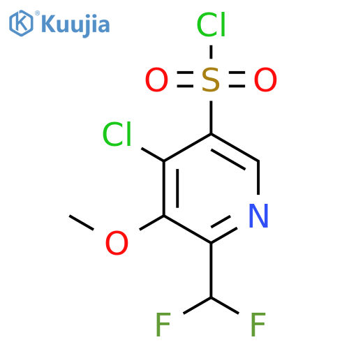4-Chloro-2-(difluoromethyl)-3-methoxypyridine-5-sulfonyl chloride structure