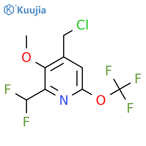 4-(Chloromethyl)-2-(difluoromethyl)-3-methoxy-6-(trifluoromethoxy)pyridine structure