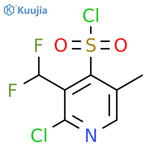 2-Chloro-3-(difluoromethyl)-5-methylpyridine-4-sulfonyl chloride structure
