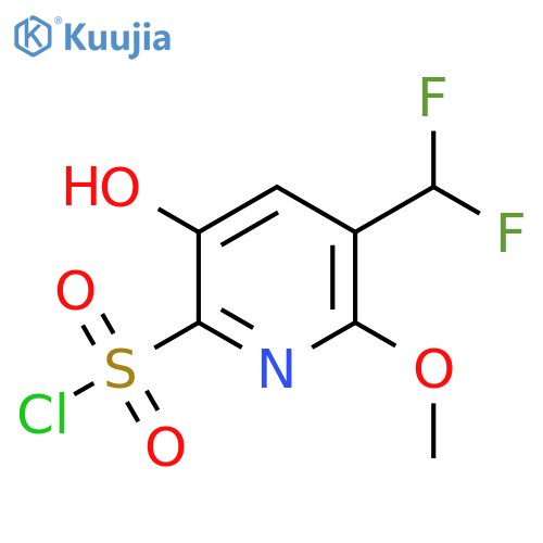 3-(Difluoromethyl)-5-hydroxy-2-methoxypyridine-6-sulfonyl chloride structure