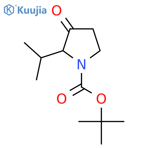 tert-Butyl 2-isopropyl-3-oxo-1-pyrrolidinecarboxylate structure