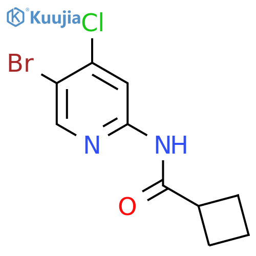 N-(5-Bromo-4-chloropyridin-2-yl)cyclobutanecarboxamide structure