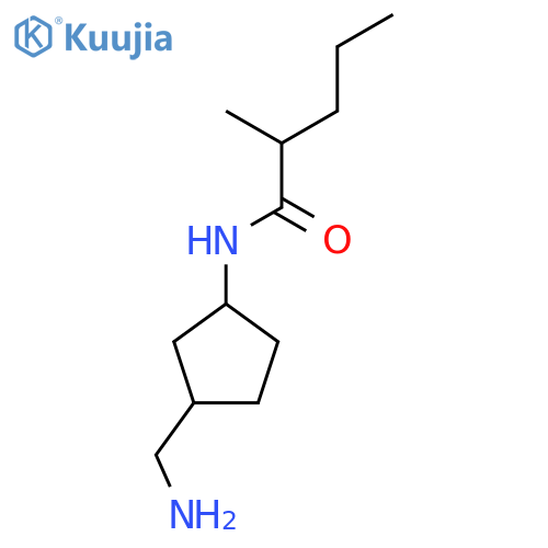 N-[3-(aminomethyl)cyclopentyl]-2-methylpentanamide structure