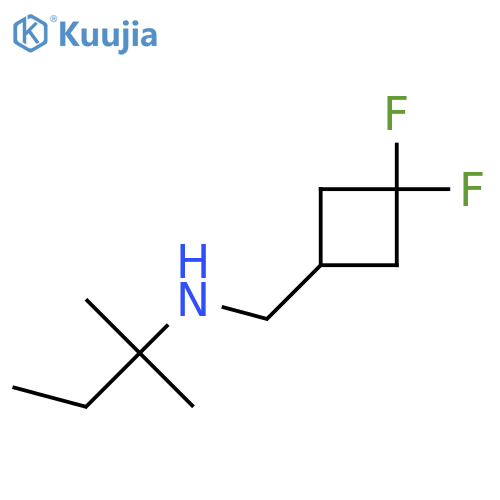 N-[(3,3-difluorocyclobutyl)methyl]-2-methylbutan-2-amine structure