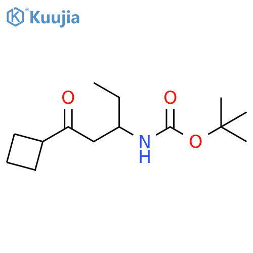 Carbamic acid, N-(3-cyclobutyl-1-ethyl-3-oxopropyl)-, 1,1-dimethylethyl ester structure