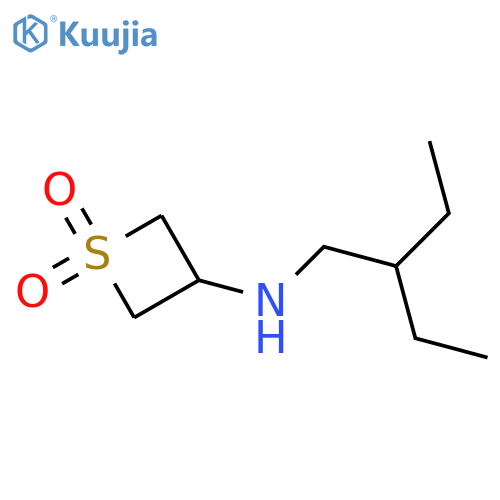3-[(2-ethylbutyl)amino]-1λ?-thietane-1,1-dione structure