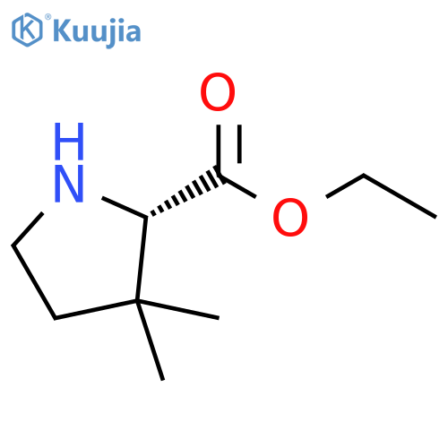 ethyl 3,3-dimethylpyrrolidine-2-carboxylate structure