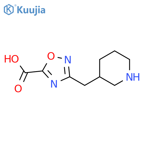 3-[(Piperidin-3-yl)methyl]-1,2,4-oxadiazole-5-carboxylic acid structure