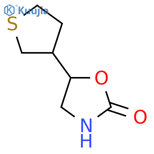 5-(thiolan-3-yl)-1,3-oxazolidin-2-one structure