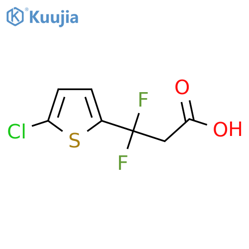3-(5-chlorothiophen-2-yl)-3,3-difluoropropanoic acid structure