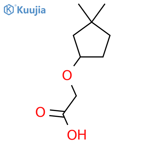 2-[(3,3-Dimethylcyclopentyl)oxy]acetic acid structure