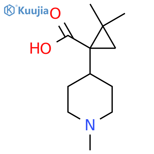 2,2-dimethyl-1-(1-methylpiperidin-4-yl)cyclopropane-1-carboxylic acid structure