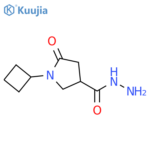 1-cyclobutyl-5-oxopyrrolidine-3-carbohydrazide structure