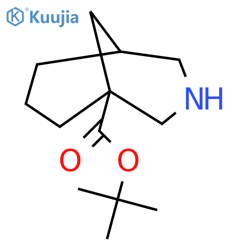 tert-butyl 3-azabicyclo3.3.1nonane-1-carboxylate structure