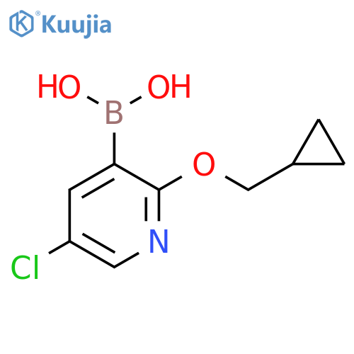 5-Chloro-2-(cyclopropylmethoxy)pyridine-3-boronic acid structure