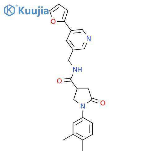 1-(3,4-dimethylphenyl)-N-{5-(furan-2-yl)pyridin-3-ylmethyl}-5-oxopyrrolidine-3-carboxamide structure