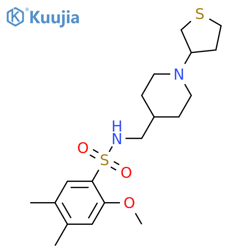 2-methoxy-4,5-dimethyl-N-{[1-(thiolan-3-yl)piperidin-4-yl]methyl}benzene-1-sulfonamide structure