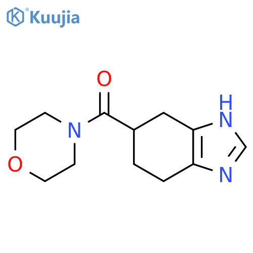 5-(morpholine-4-carbonyl)-4,5,6,7-tetrahydro-1H-1,3-benzodiazole structure