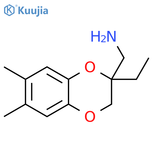 (2-ethyl-6,7-dimethyl-2,3-dihydro-1,4-benzodioxin-2-yl)methanamine structure