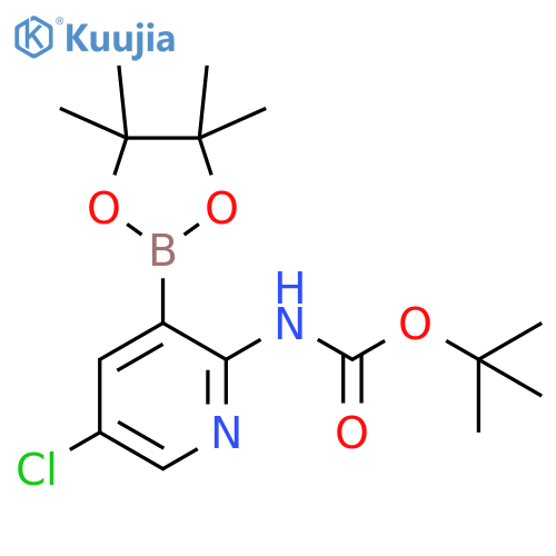 tert-butyl N-5-chloro-3-(tetramethyl-1,3,2-dioxaborolan-2-yl)pyridin-2-ylcarbamate structure
