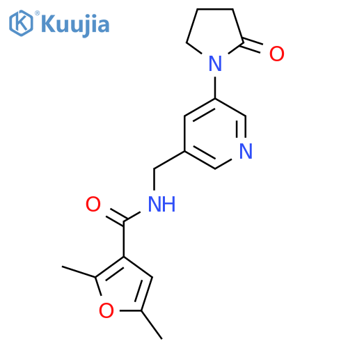 2,5-dimethyl-N-{[5-(2-oxopyrrolidin-1-yl)pyridin-3-yl]methyl}furan-3-carboxamide structure