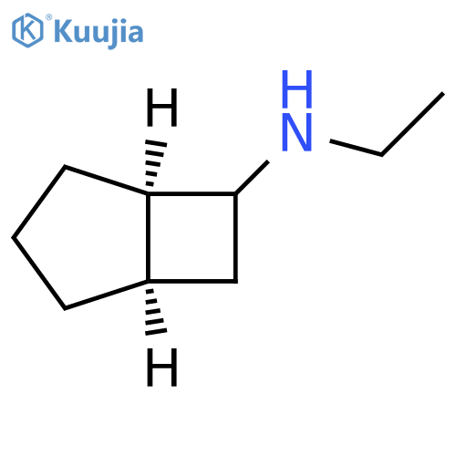 Bicyclo[3.2.0]heptan-6-amine, N-ethyl-, (1R,5R)-rel- structure