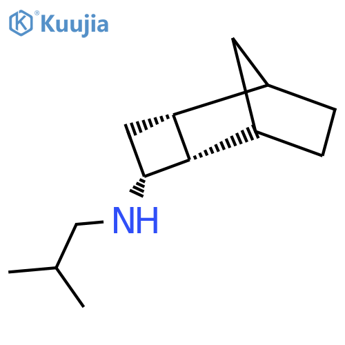 rac-(2R,3S,5S)-N-(2-methylpropyl)tricyclo[4.2.1.0,2,5]nonan-3-amine structure