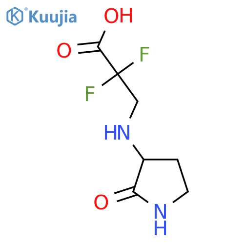 2,2-Difluoro-3-[(2-oxopyrrolidin-3-yl)amino]propanoic acid structure