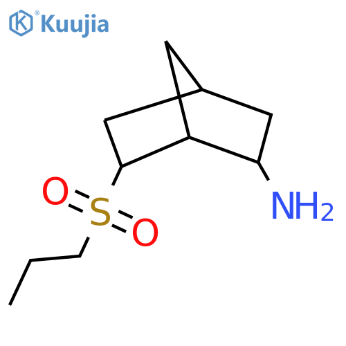 6-(Propane-1-sulfonyl)bicyclo[2.2.1]heptan-2-amine structure