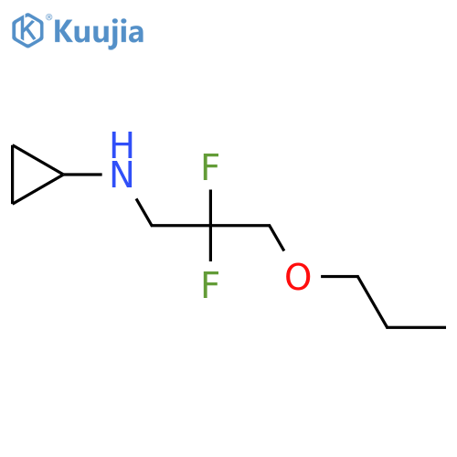 N-(2,2-difluoro-3-propoxypropyl)cyclopropanamine structure
