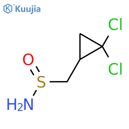 (2,2-Dichlorocyclopropyl)methanesulfinamide structure
