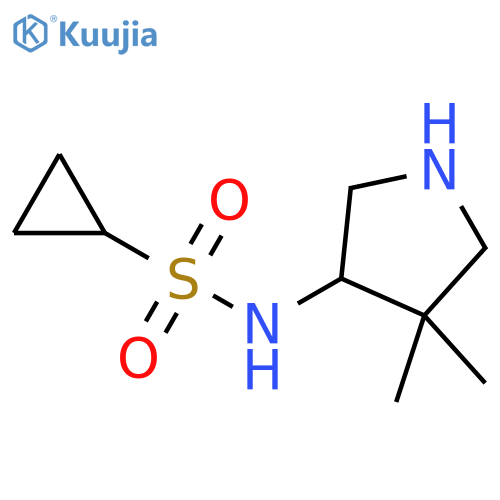 N-(4,4-dimethylpyrrolidin-3-yl)cyclopropanesulfonamide structure
