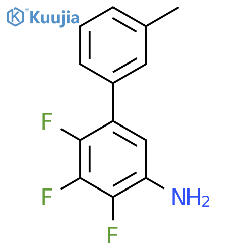 2,3,4-trifluoro-5-(3-methylphenyl)aniline structure
