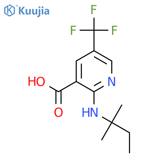 2-(2-methylbutan-2-yl)amino-5-(trifluoromethyl)pyridine-3-carboxylic acid structure