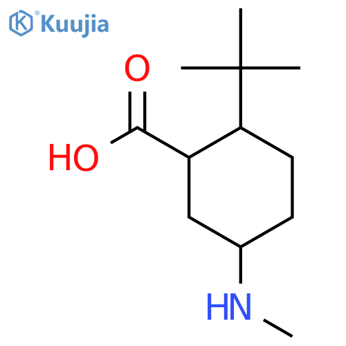 2-Tert-butyl-5-(methylamino)cyclohexane-1-carboxylic acid structure