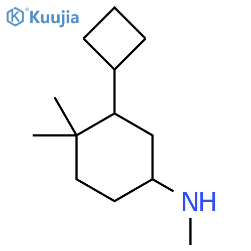 3-cyclobutyl-N,4,4-trimethylcyclohexan-1-amine structure