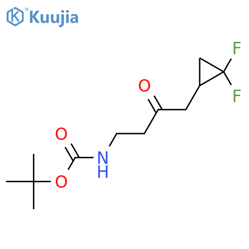 tert-butyl N-[4-(2,2-difluorocyclopropyl)-3-oxobutyl]carbamate structure