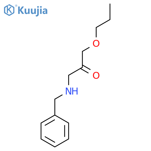 Benzyl(2-oxo-3-propoxypropyl)amine structure
